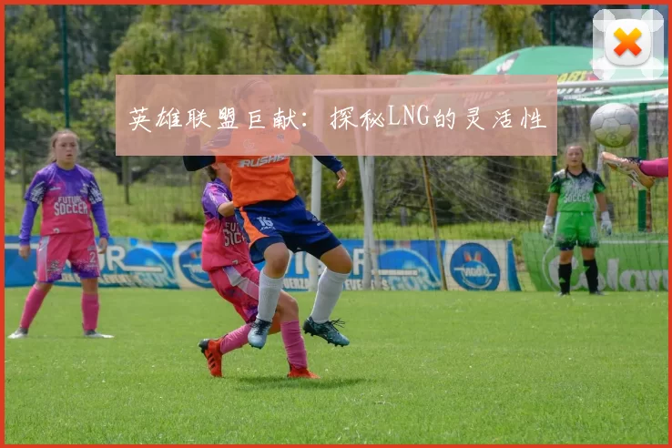 英雄联盟巨献：探秘LNG的灵活性