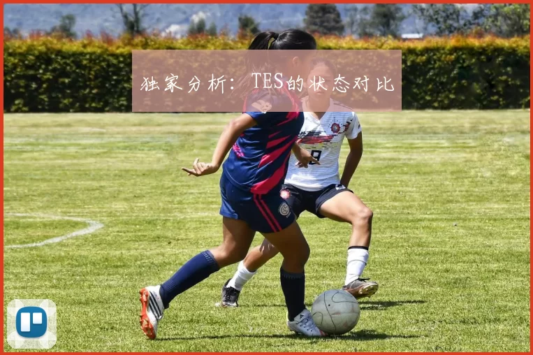 独家分析：TES的状态对比