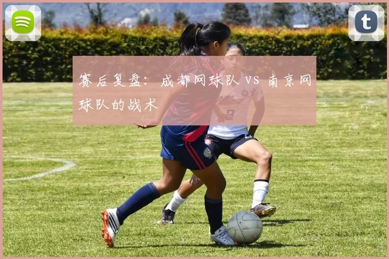 赛后复盘：成都网球队 vs 南京网球队的战术