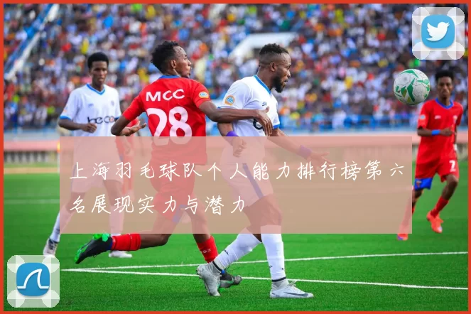 上海羽毛球队个人能力排行榜第六名展现实力与潜力