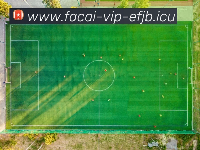 MK体育注册品牌故事